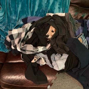 Meet your Posher, Michael